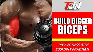 Build Bigger Biceps | TPW