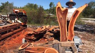 Red Camphor on the Norwood lm30 sawmill