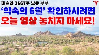 2020~24년 6월을 되짚어 보니, 2025년 6월의 테슬라 주가 흐름이 보이네요!
