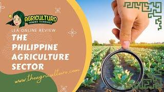 The Philippine Agriculture Sector