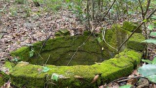 Old Homestead Site in Goethe State Forest