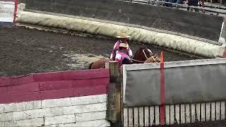 Serie 1 Libre Rodeo Arauco Provincial 3 Series  4-01-2024 cont