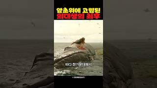 암초위에 고립된 의대생의 최후