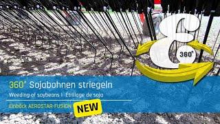 VR 360° | Weeding soybeans | Premium tined weeder AEROSTAR-FUSION | Einböck 360° experience #10