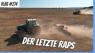 Vlog #274 The last rapeseed goes into the ground.