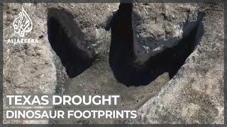 Texas drought reveals dinosaur footprints millions of years old