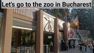 Let's go to the zoo in Bucharest#travel #bucharest #zoo