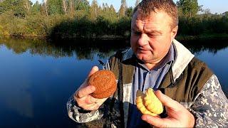 Опустил на дно озера ПЕЧЕНЬЕ. Реакция рыбы. Подводная съёмка.