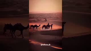 Dr Israr Ahmed Ra Whatsapp Status YT Shorts