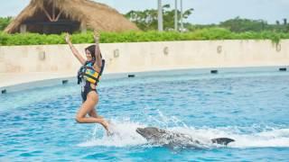 Dolphin Royal Swim Punta Cana | Dolphin Discovery