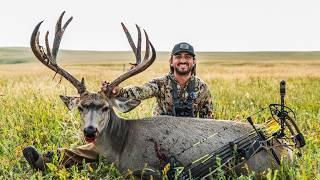 SPOT AND STALK ALBERTA MULE DEER WITH THE NEW MATHEWS