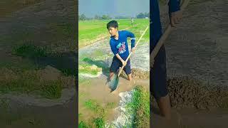 #jahia rusi tahiya#shorts#viral#trending