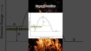 Everything you need to know about thermochemistry for VCE CHEM in 60 seconds!