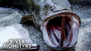 River Monsters Full Episode - Season 2, Episode 1 - Killer Snakehead