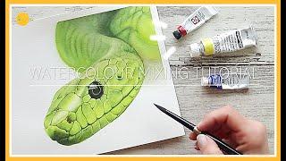 WATERCOLOUR colour MIXING tutorial for beginners | How to paint a snake with just 3 colours!