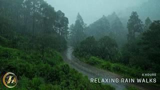 [4K] Walk through Misty Rain under Umbrella | Relaxing ASMR Rain Walks Compilation for 4 Hours