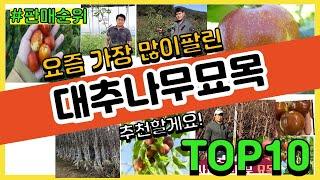 대추나무묘목 추천 판매순위 Top10 || 가격 평점 후기 비교