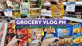 Weekly Grocery Vlog PH 2K Pesos Budget for the Week with Prices as of May 2024