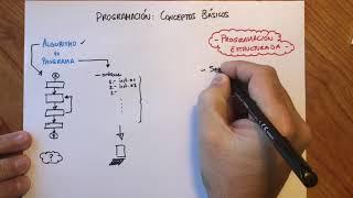 Programación: Conceptos Básicos