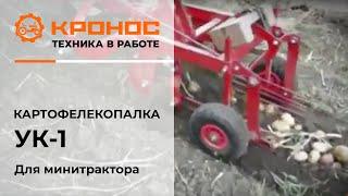 Вибрационная картофелекопалка для минитрактора в работе (kronos5.by/kronos5.ru)