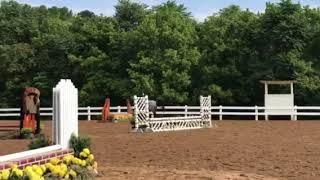 Meelie and Kate Limit Rider Hunter Lexington National 2017