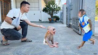 Cutis burst into tears of joy see baby monkey again after many days of separation