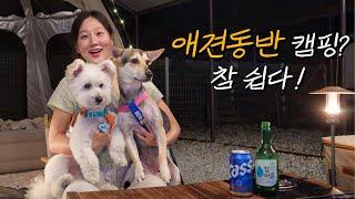 Solo Camping with abandoned dogs / Adopt, Don't Shop! / Braised Pork neck meat with Kimchi & Soju