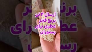 ارسال 4 تن برنج فجر عطری و خوشپخت رستورانی