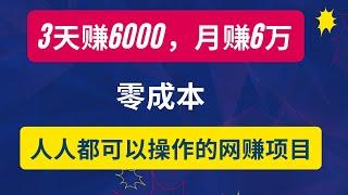 新手网赚，小白也可以操作的网上赚钱项目！零成本赚钱3天赚6000，月赚6万，无需人脉，人人可做的赚钱项目！