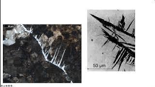 Widmanstätten ferrite