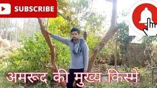 Developed varities of Guava || अमरूद की मुख्य किस्में || The Sushant Agriculture