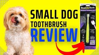 PRODUCT REVIEW! | BrushMyTeeth Small Dog Toothbrush | BrushMyTeeth