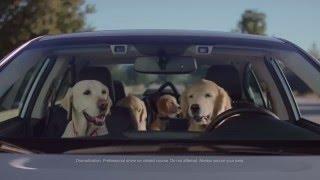 Phone Navigation | Subaru Dog Tested TV Commercial