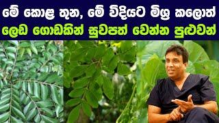 මේ කොළ තුන, මේ විදියට මිශ්‍ර කලොත් ලෙඩ ගොඩකින් සුවපත් වෙන්න පුළුවන් | Herb plants