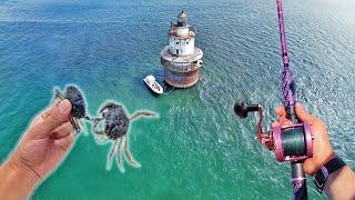 Abandoned Lighthouse is LOADED with Fish!