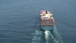 Translation Tips for Export Success