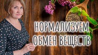 Нормализуем обмен веществ