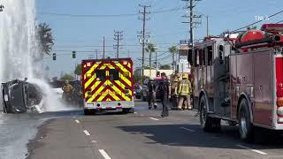 Inglewood Tesla Vs Hydrant