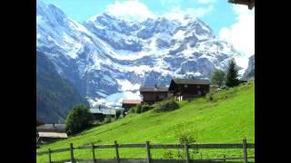 GREEN SIDE OF THE GRASS (COMICAL AGING SONG - SHARE THE LINK!) www.libbyallensongs.com