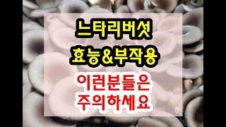 느타리버섯 효능과 부작용 잘 알고 드셔야해요~