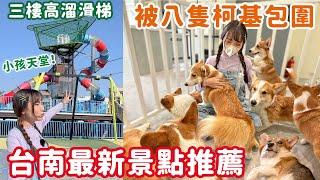 台南必去新點！被8隻柯基爭寵，大船公園裡小孩最愛的三層樓溜滑梯，古蹟星巴克看火車，花園夜市旁古早味零食｜Haven在台南