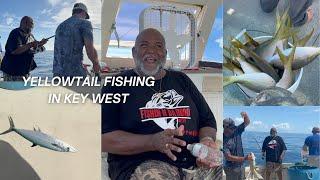 YELLOWTAIL FISHING IN KEY WEST#fypyoutube #fishnfun #fishinglife #fishing #yellowtail #explorepage