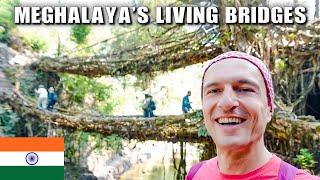 Meghalays's MOST FAMOUS Living Root Bridges (Beautiful Trek)  Foreigners in India Travel Vlog E28