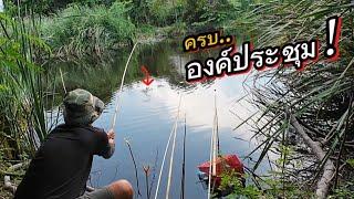 เลือกเมนูไม่ถูก..หากับข้าวตามความเหมาะสม | คันไม้ไผ่ตกปลา | fishing