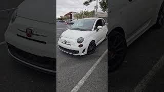 3 Little Scorpions #abarth #fiat #subscribe #shorts #italian