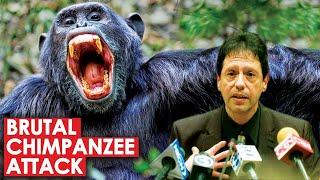 Brutal Chimpanzee Attack and The Cop That Intervened | The Story of Travis