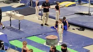 Judge's Cup 2021 level 4 boys mushroom/ pommel