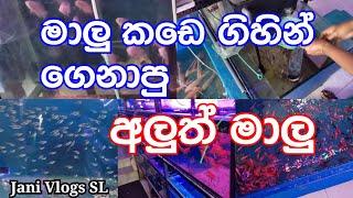 මාලු කඩෙ ගිහින් ගෙනාපු අලුත් මාලු - Malu Kade Gihin Genapu Aluth Malu - Jani Vlogs SL