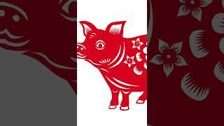 Predictions for the Year of the Pig 2024 #shorts #reels #YearofthePig #newyear