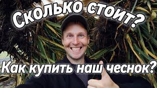 ⭕ Сколько стоит наш чеснок? И как его купить? 